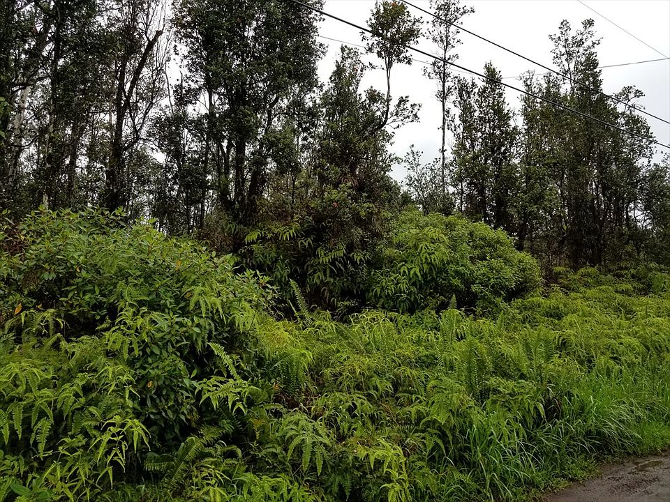 2nd image of Hilo St Lot 482