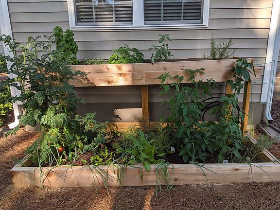 Tiered garden bed, additional strawberry garden under playset.