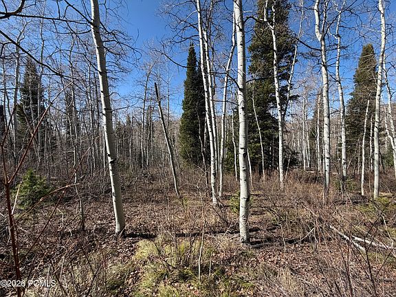 4th image of 5209 White Pine Cir #545