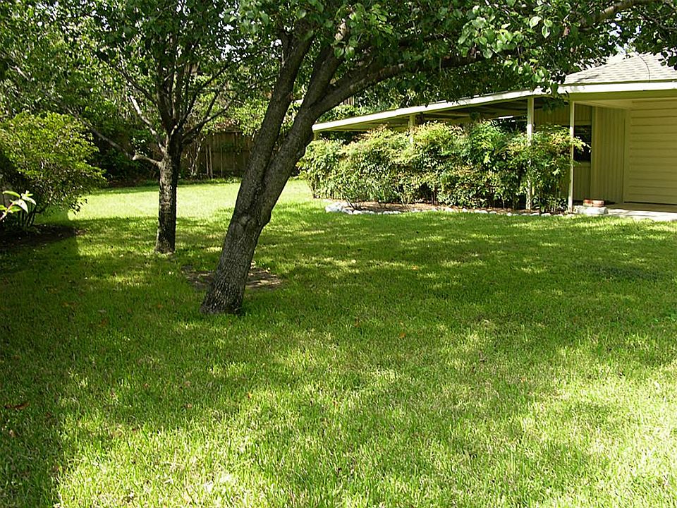 tress for great shade