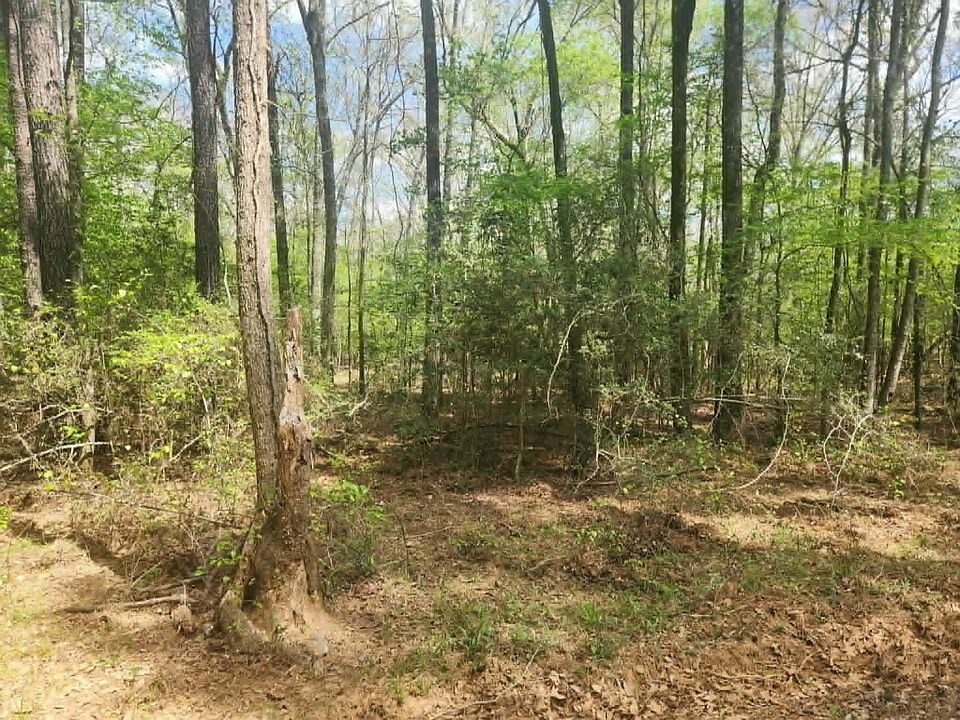 2nd image of Tbd Baker Bridge Rd