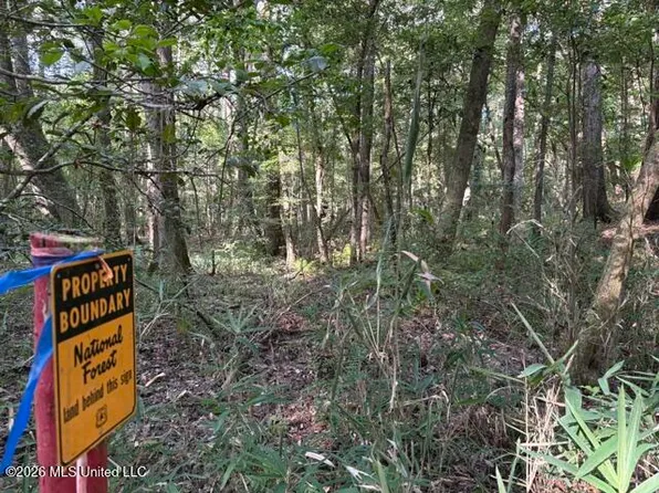 Smith County Rd #581, Raleigh, MS 39153