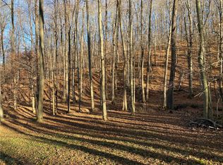 10636 Van Neel Trl N, Prattsburgh, NY 14873