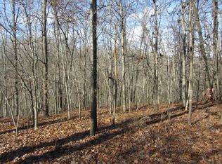 465 Garnet Rd, Ozark, MO 65721