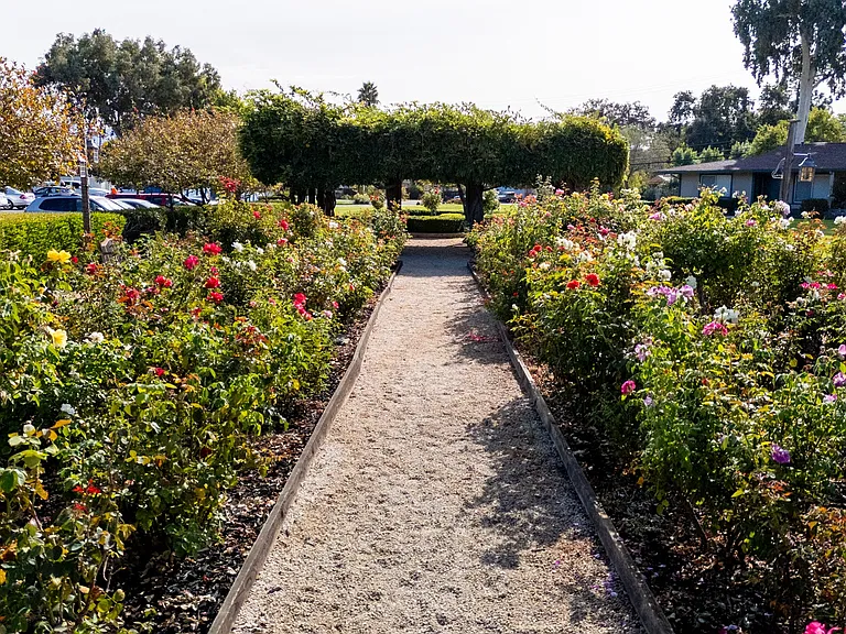 The Grove at Walnut Creek — Photo 7