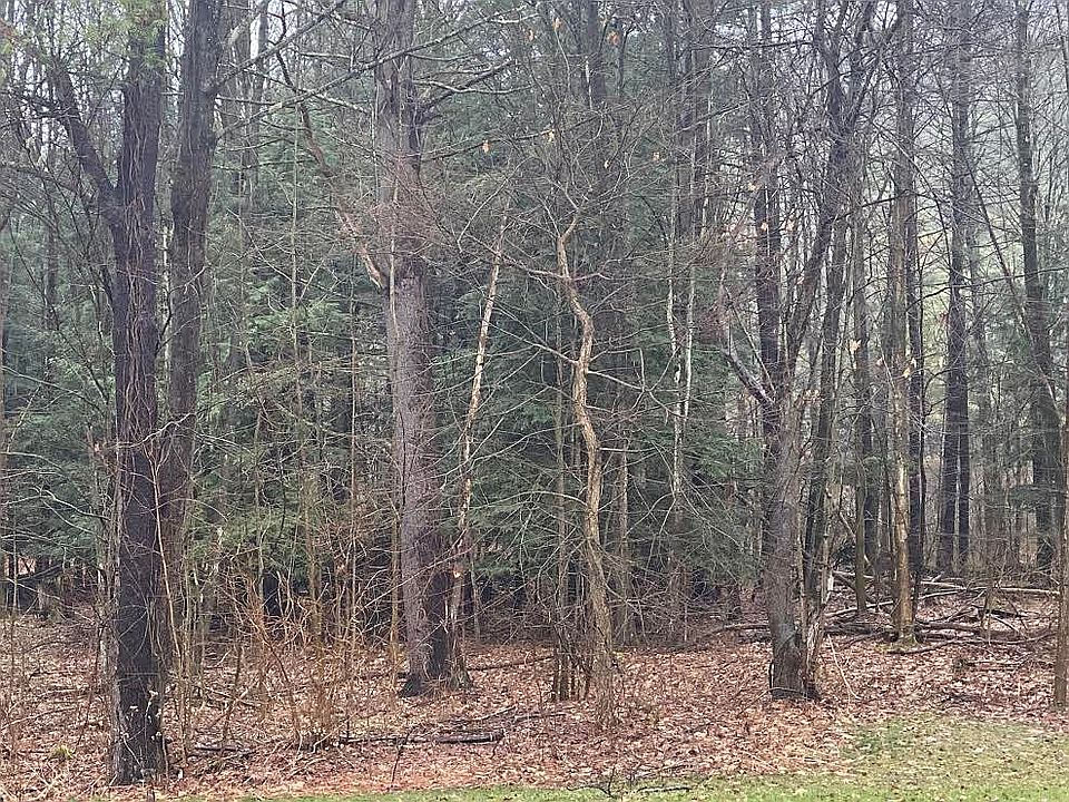 1st image of Pine Cir