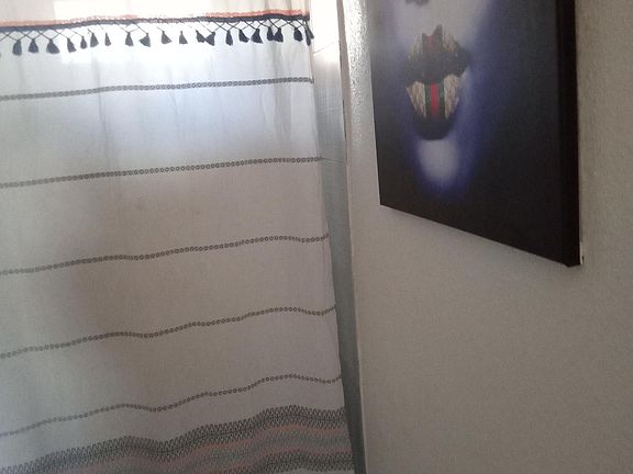 4th image of 1014 N Virginia St #1