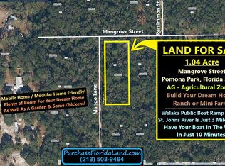 0 Mangrove St, Pomona Park, FL 32181