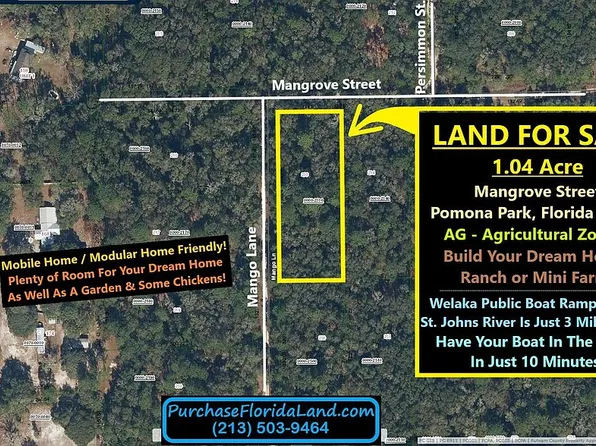 0 Mangrove St, Pomona Park, FL 32181
