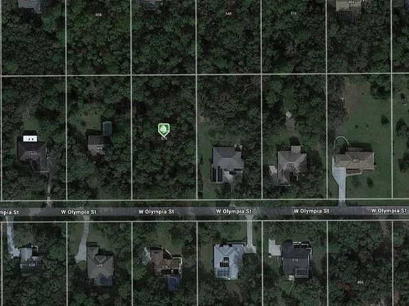 579 W Olympia St Lot 10, Hernando, FL 34442