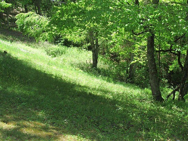 2nd image of 899 Pilot Knob Rd