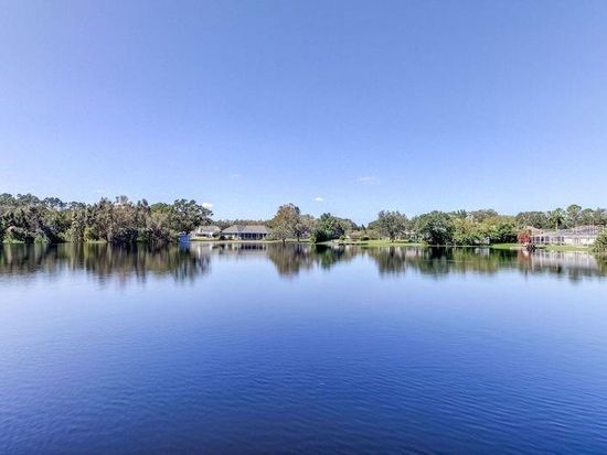 921 Newberger Rd, Lutz, FL 33549