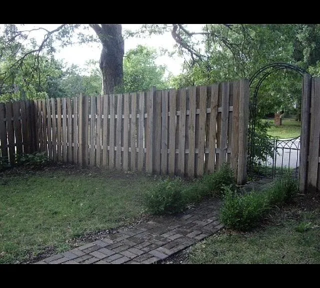 Back Yard Privacy Fence