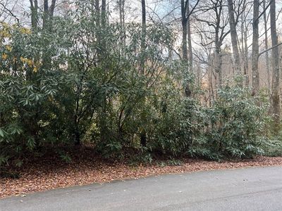 72 Hickory Drive, Cashiers, NC, 28774
