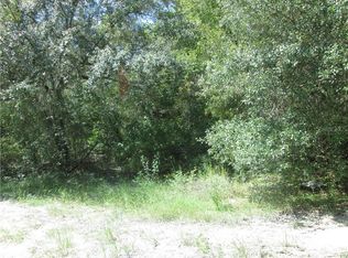 Cotton St, Webster, FL 33597