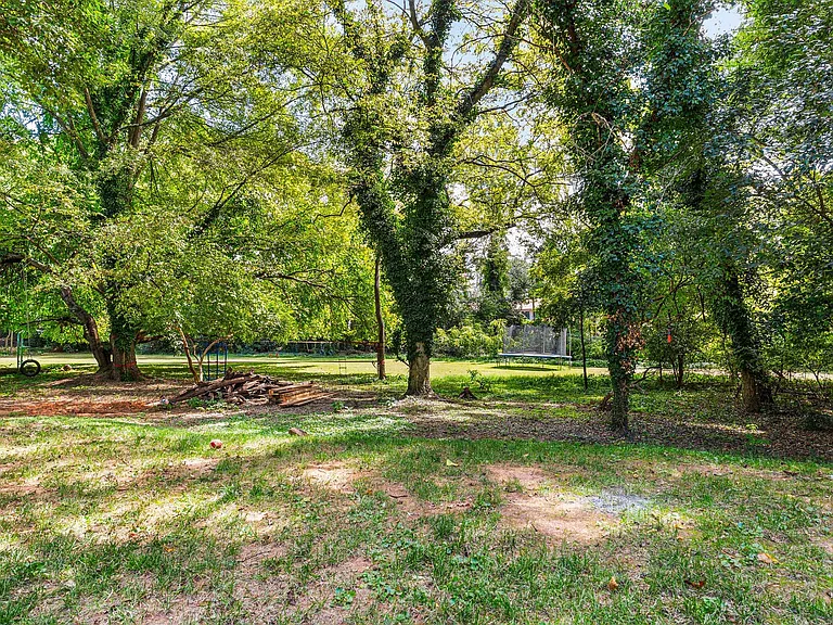 Backyard.