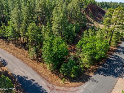 6281 Bent Oak Dr, Pinetop, AZ, 85935