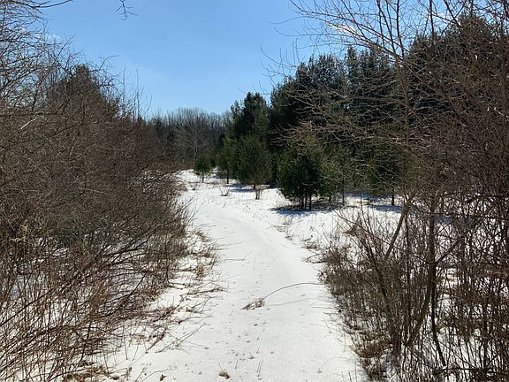 2nd image of 267 Legge Hill Rd