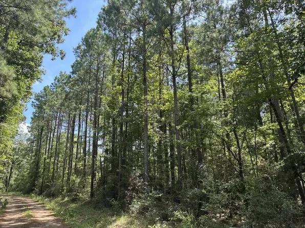 1341 County Road 2603, Shelbyville, TX 75973