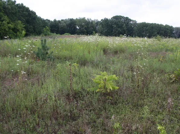 B Dr N, Marshall, MI 49068