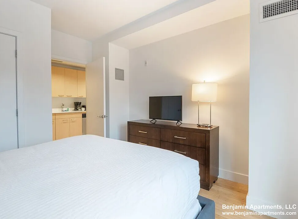 1 bed, 543 sqft, $3,700 — Photo 4