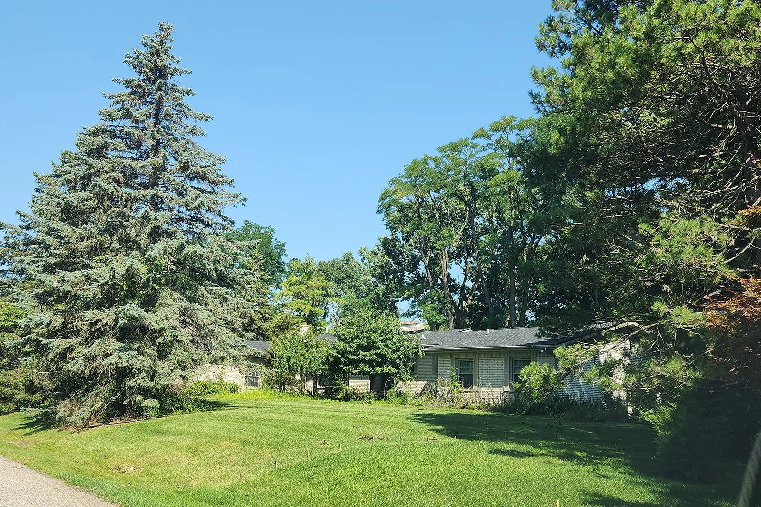 1900 Marie Cir photo 1