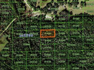 Commonwealth Ave N, Polk city, FL 33868