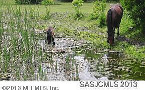 2nd image of 2645 County Road 13a S