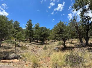 35 Canyon Vis #35, Pine, AZ 85544