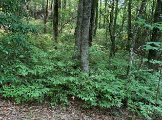 0 Maple Leaf Dr #6, Dillard, GA 30537