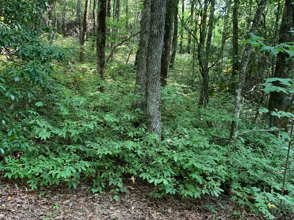 0 Maple Leaf Dr #6, Dillard, GA 30537