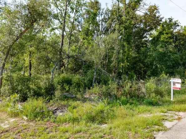 48 Fisher Lane Crse, Ocklawaha, FL 32179