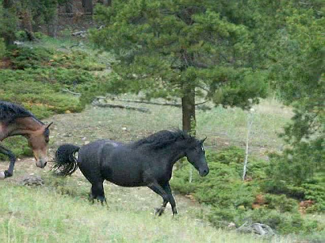 1st image of 3 Rudolph Ranch Rd