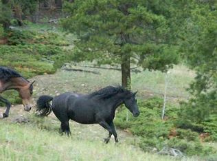 3 Rudolph Ranch Rd, Black Hawk, CO 80422