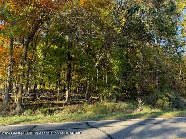 1680 W Stoll Rd, Dewitt, MI 48820