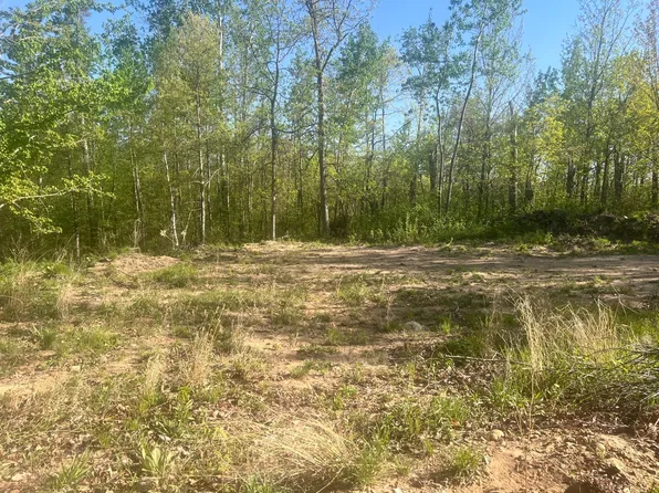 7773 White Overlook Dr, Pequot Lakes, MN 56472