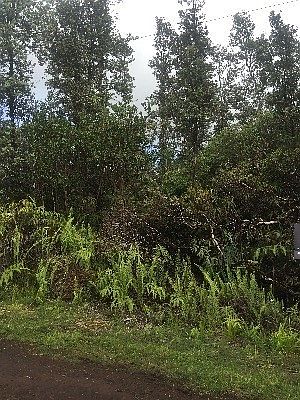 2nd image of Road 6 Ooaa Lot 4452