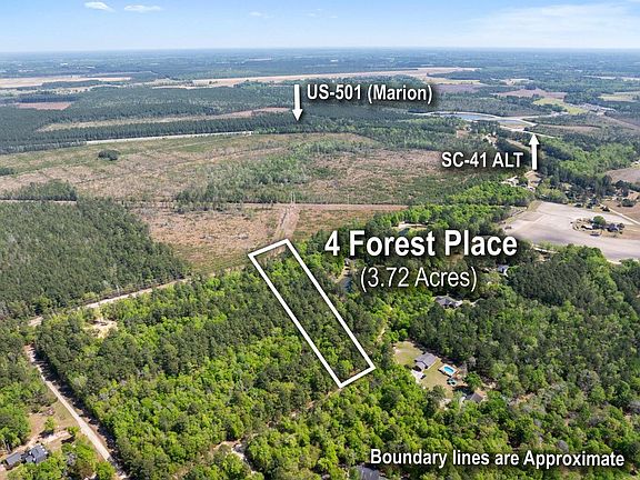 2nd image of 4 Forest Pl