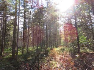 0 N Croghan Rd #1, Natural Bridge, NY 13665