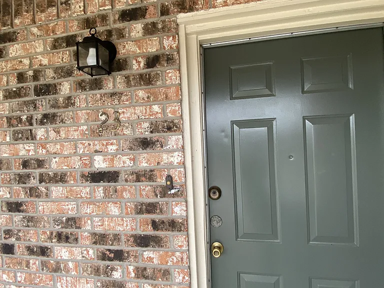 6800 Camden Ln — Photo 33