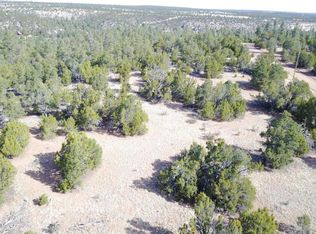 3354 Bear Hts, Heber, AZ 85928
