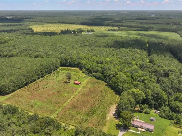 258 Highway, Rich Square, NC 27869