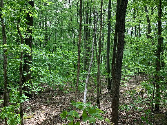 LOT 17 E Vail Ln, Gaylord, MI 49735 | MLS #201825108 | Zillow