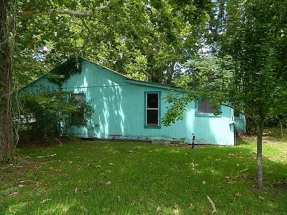Beautiful shade trees