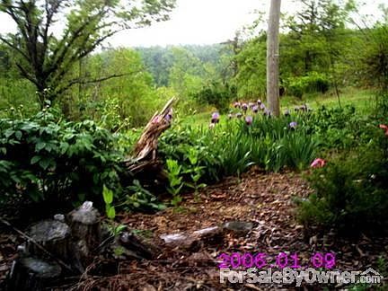 flowers
						:
						flowers on property