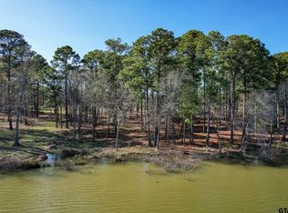 LOT 2 Caddo Trl, Scroggins, TX 75480