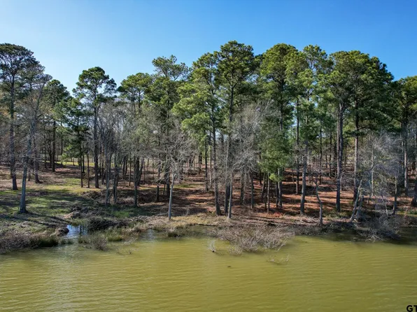 LOT 2 Caddo Trl, Scroggins, TX 75480