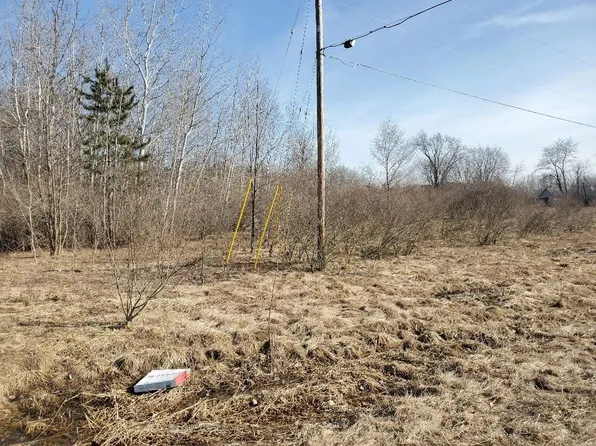 E Baseline Rd, Mount Pleasant, MI 48858