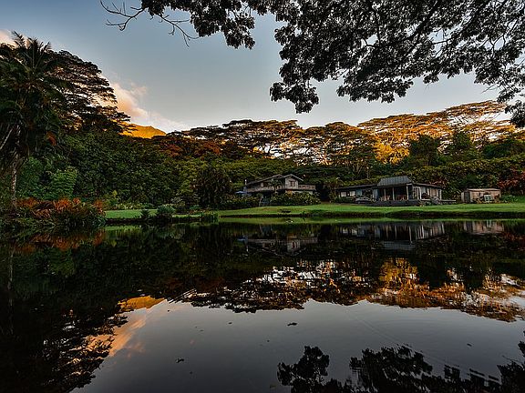 Sunrise from back of pond 