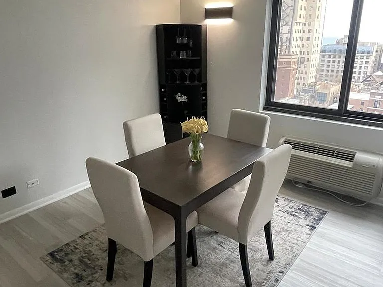 1221 N Dearborn St #1409N — Photo 6